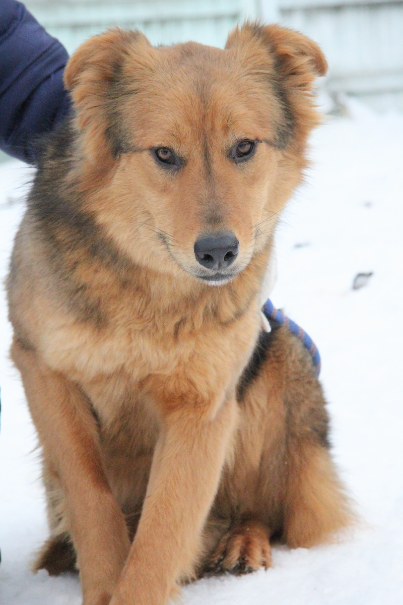 Здесь я такая молоденькая