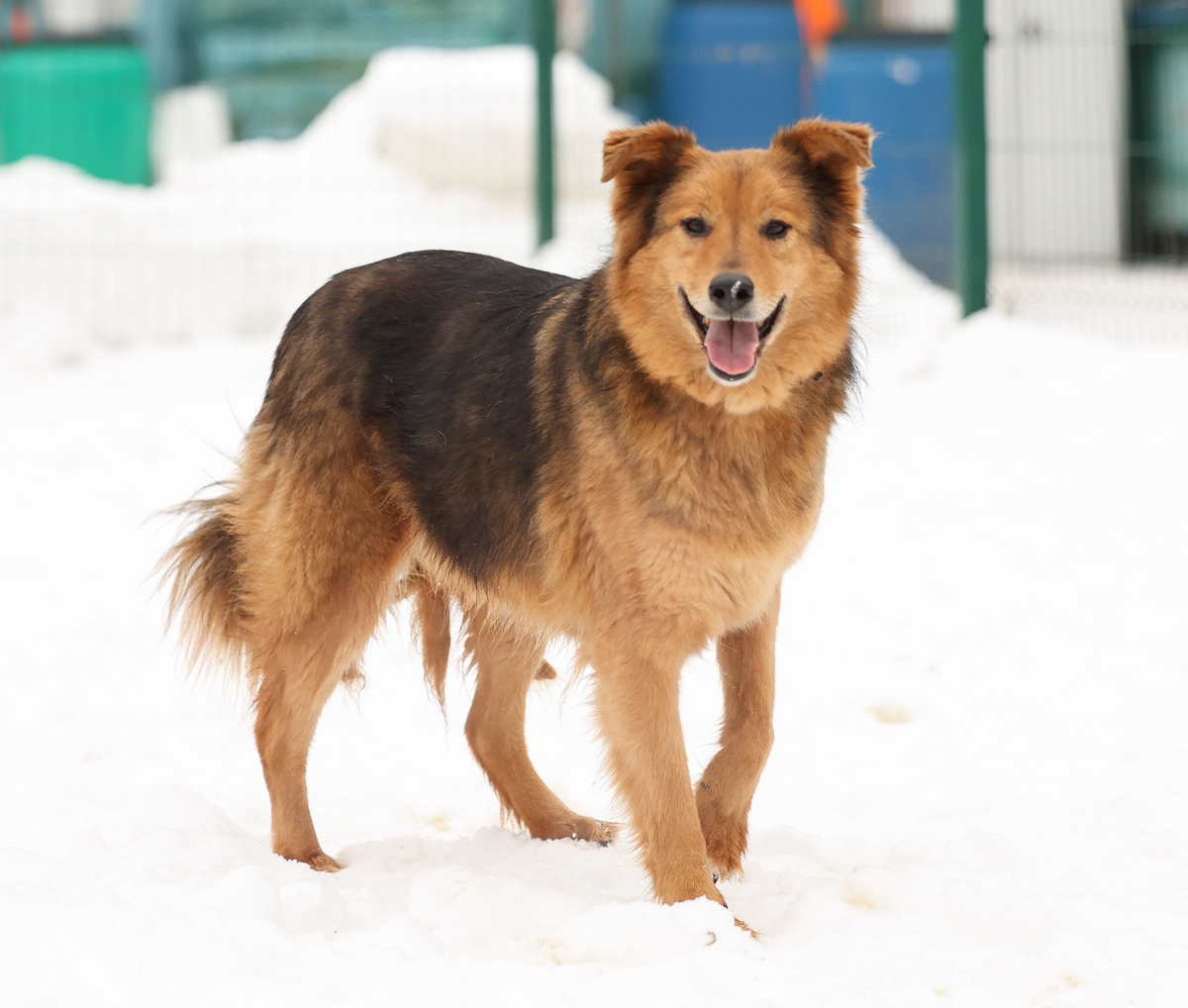 Так кто-ж от ласки то откажется?