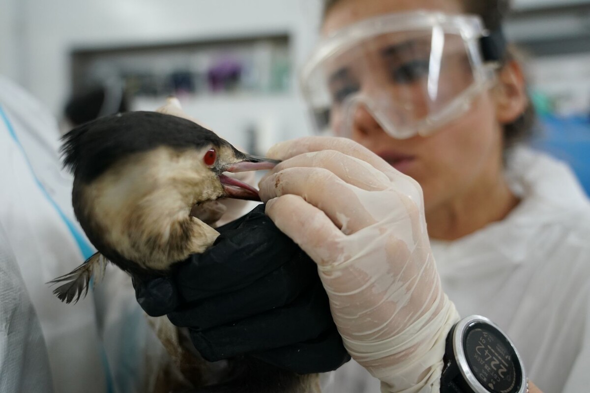     / Источник: © ИЗВЕСТИЯ/Павел Волков