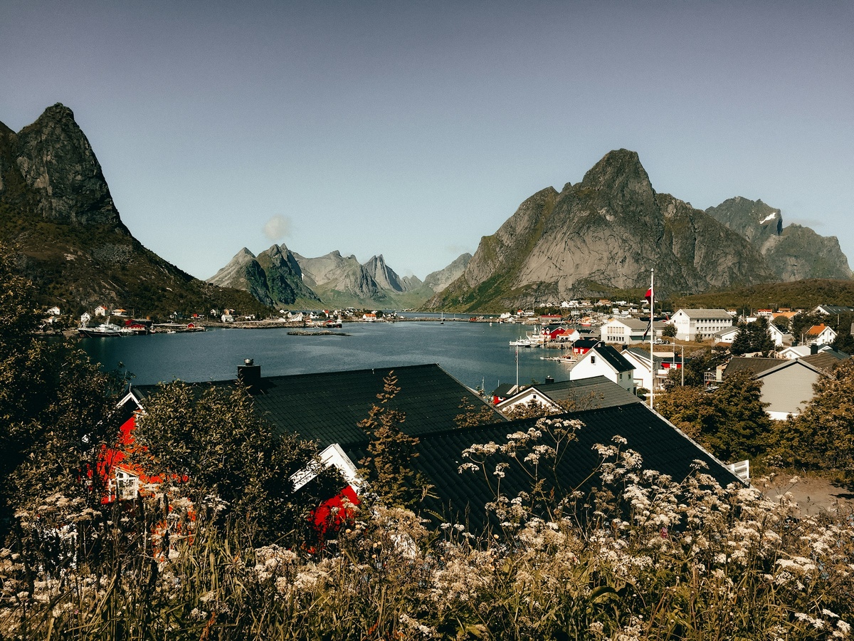 Фото с бесплатного фотостока https://unsplash.com, автор Jan Kohl