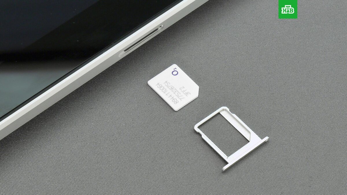    Фото: Brett Jordan / unsplash.com