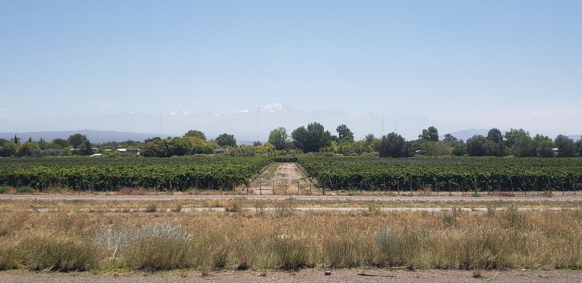 Вдалеке Анды