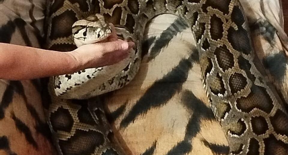    Пресс-служба Министерства сельского хозяйства и продовольствия Московской области