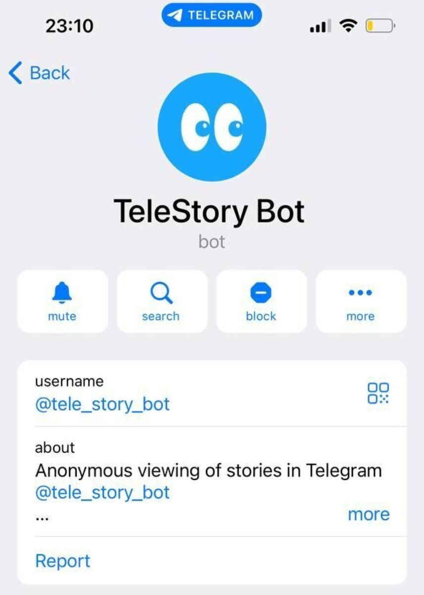 TeleStory бот помогает просмотреть и скачать истории из телеграм
