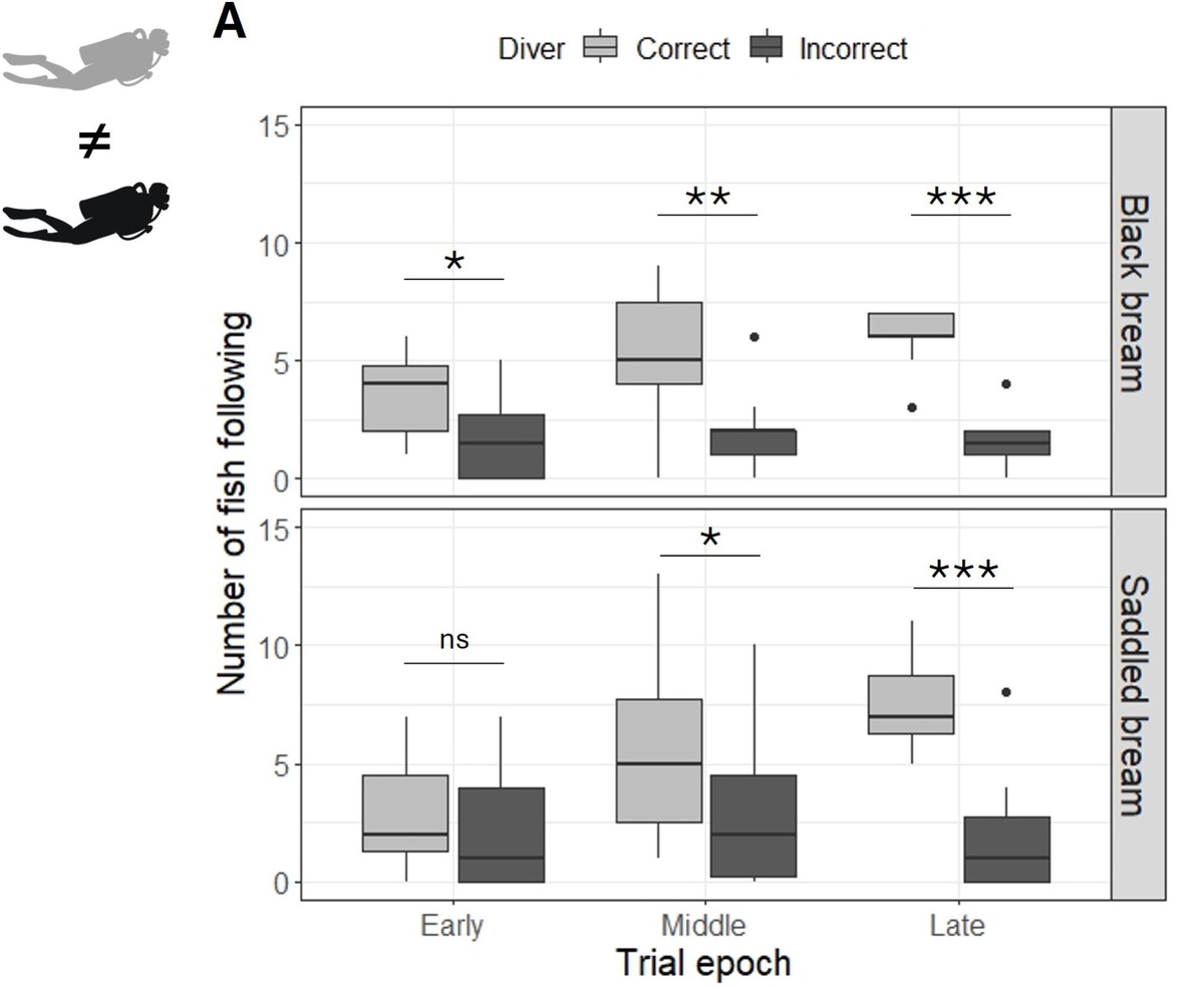   Maëlan Tomasek et al. / Biology Letters, 2025