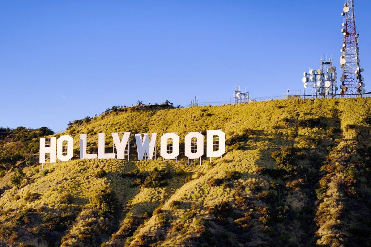    Фото: 4kclips / Shutterstock.com