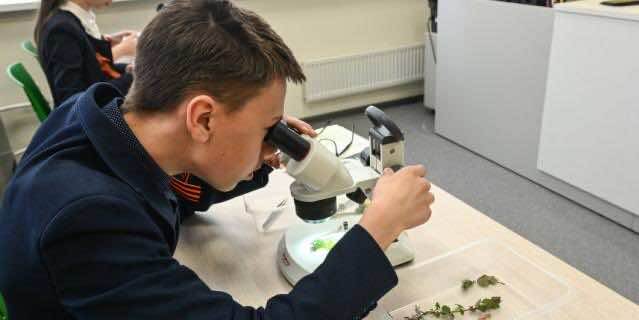 Петербургские лицеисты изучают растения с помощью микроскопа. Фото: Игорь Акимов