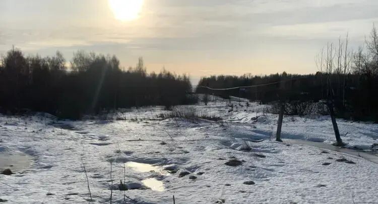    Участок на торгах в Подмосковье / Единый портал торгов Московской области ЕАСУЗ