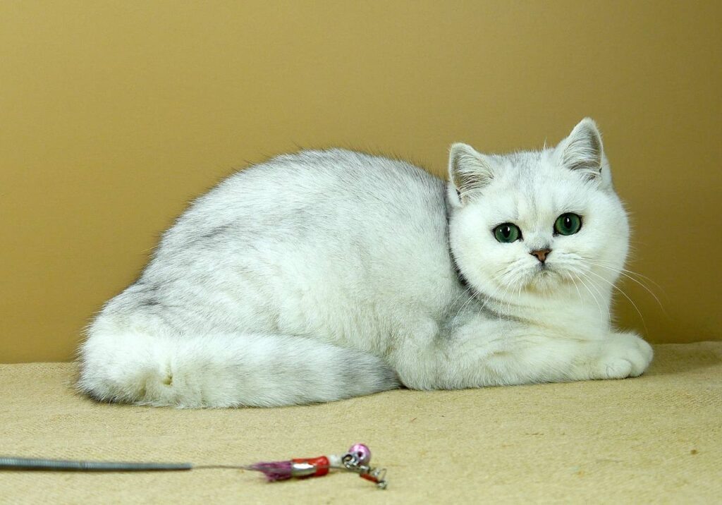    Фото: Константин Каргальцев