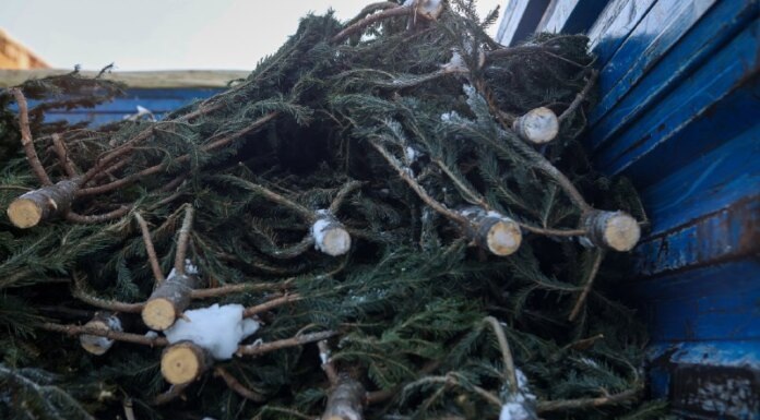    Фото пресс-центра мэрии города Новосибирска