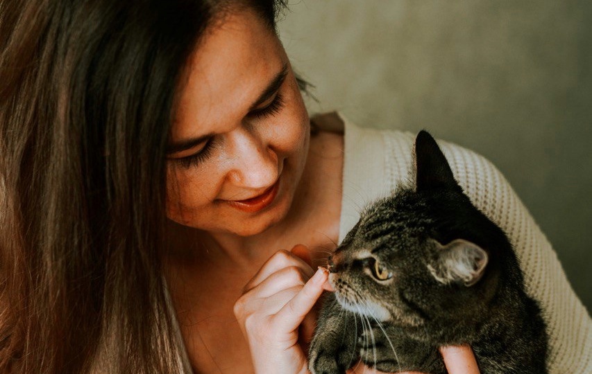 Как кошки показывают любовь?   7 главных признаков