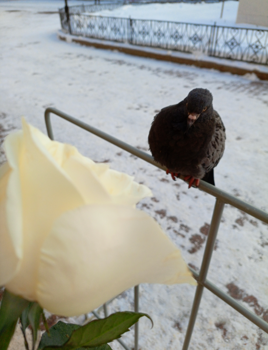 В очереди к Матронушке