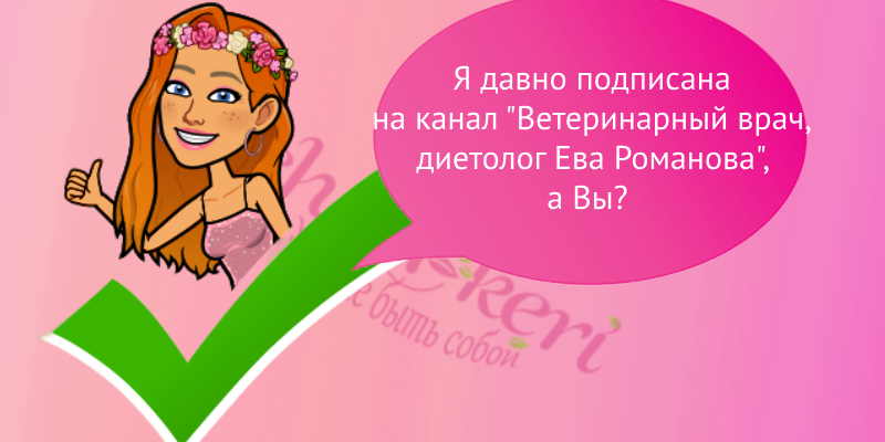 Подпишитесь на канал, как сделала это я