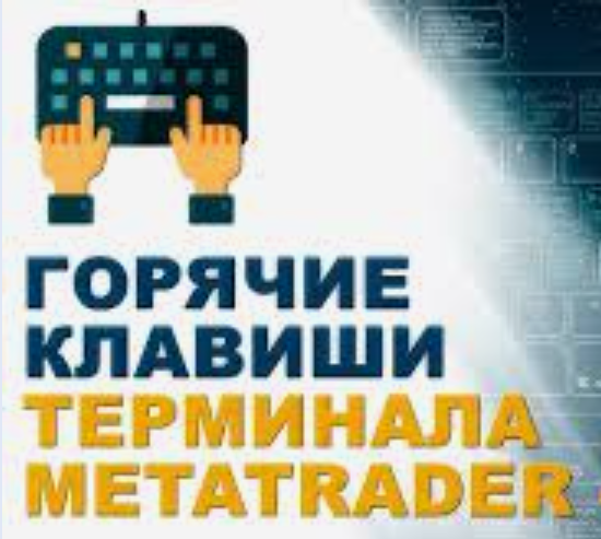Как настроить горячие клавиши в MetaTrader 4/5 для удобства торговли