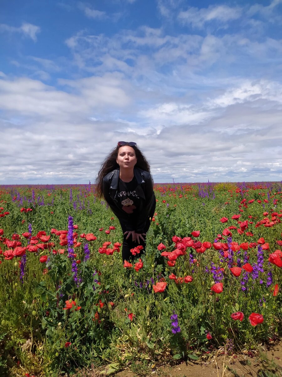 Маковое поле под Евпаторией