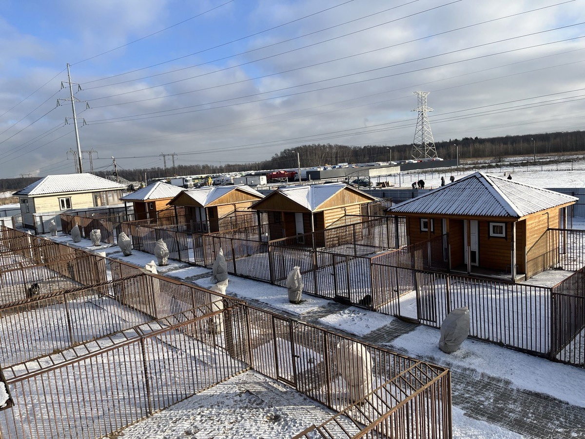 Зоогостиница для собак на базе кинологического центра "Атаман"