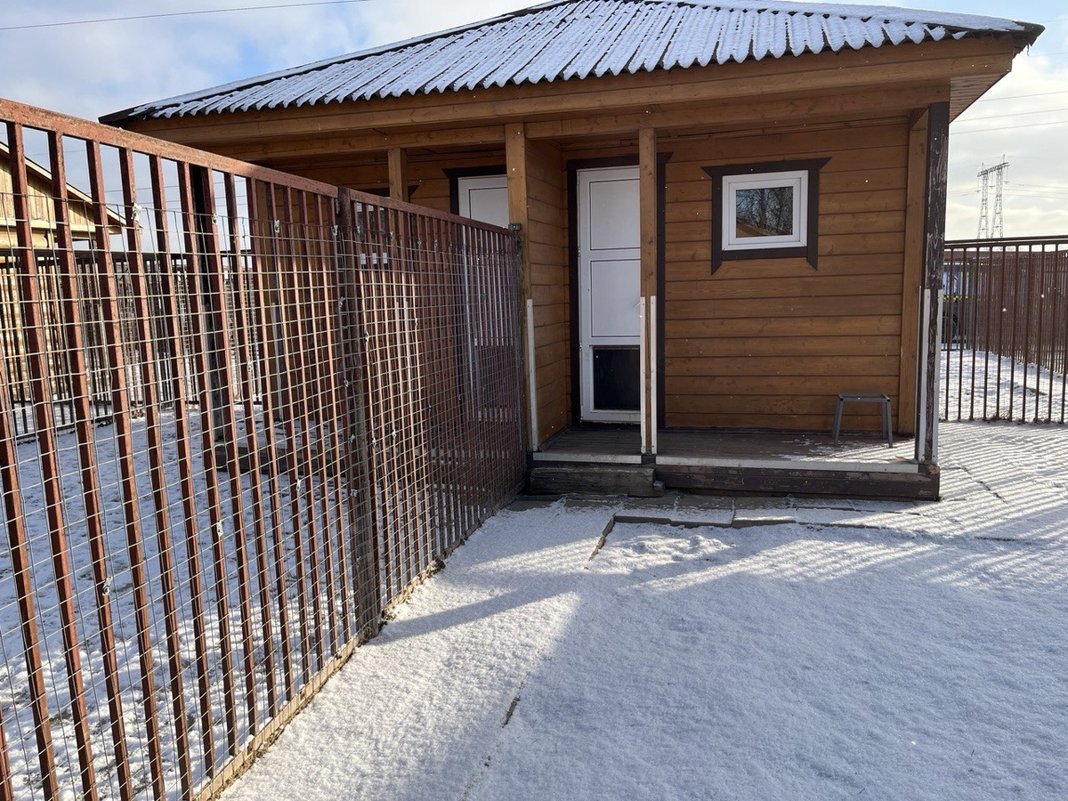 Номерной фонд зоогостиницы "Атаман"  — 50 домиков категории «Стандарт».