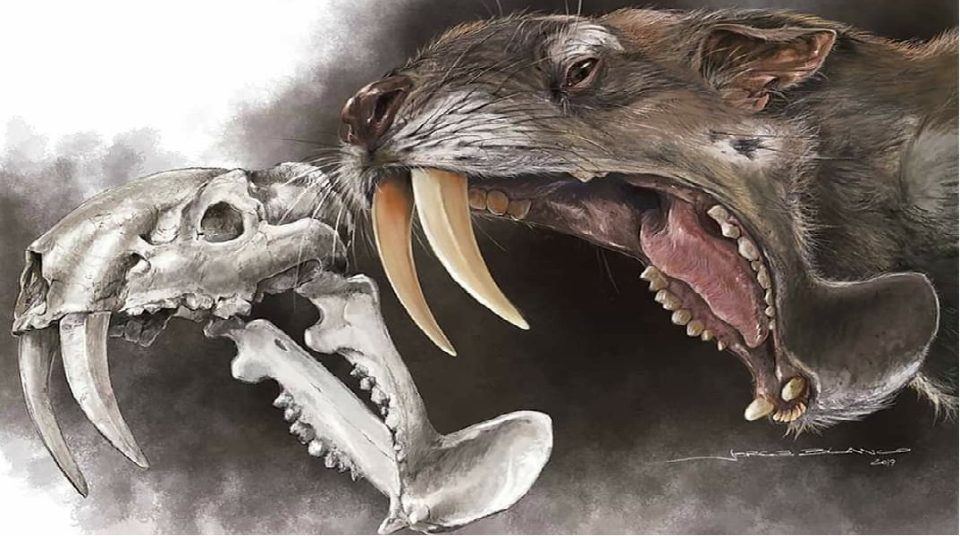 Тилакосмил. Погладь кису! (Из открытых источников)