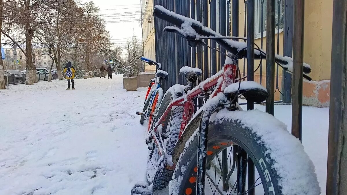     Источник: 1MI