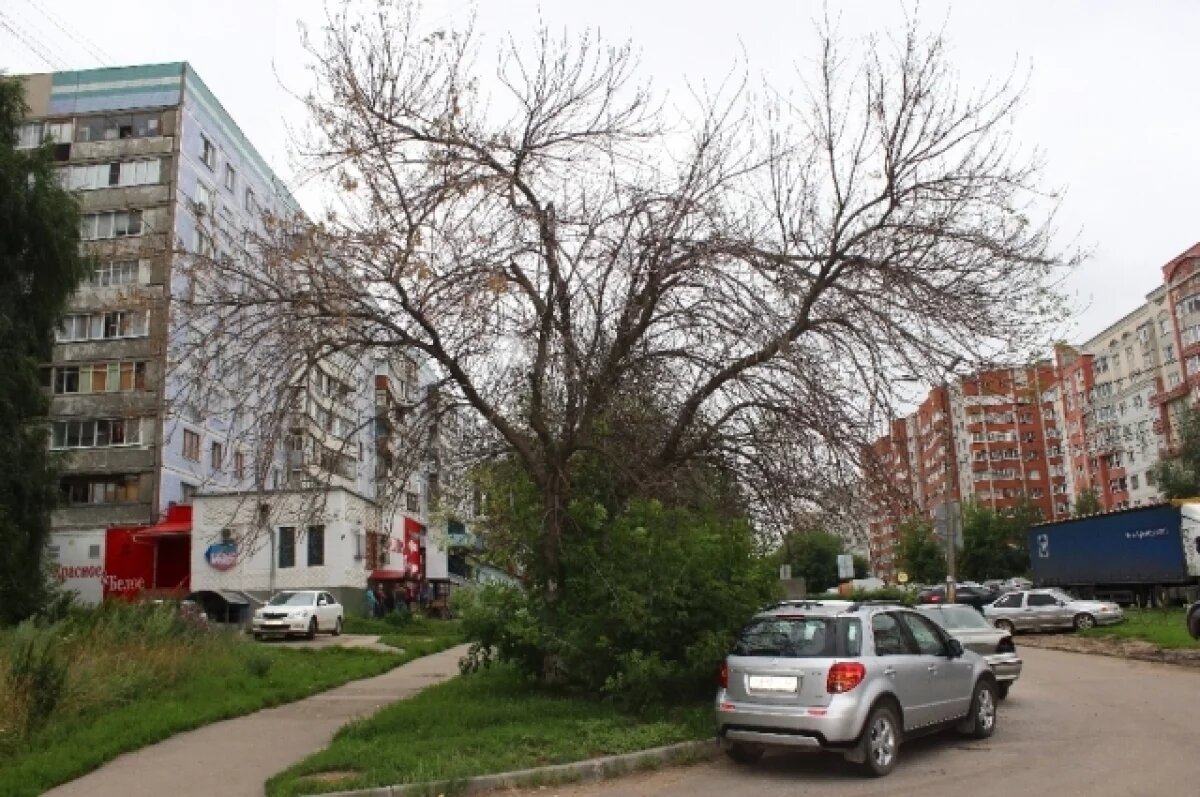    Обрезку сухостоев в Крыму закончат к 1 мая