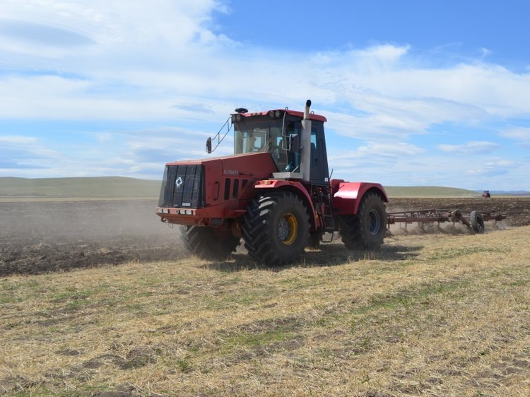    ​Агроинвесторы Забайкалья любят чистый пар