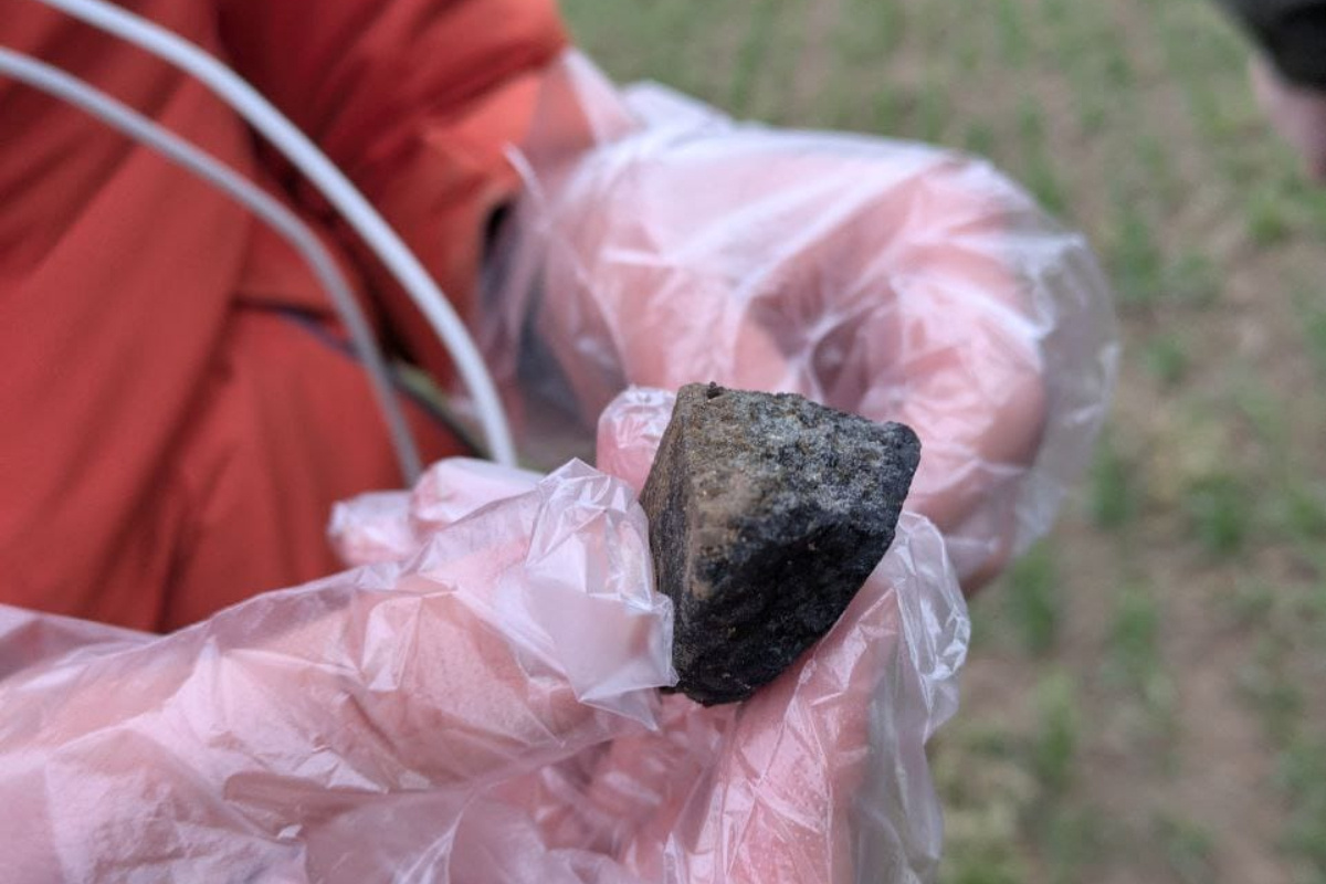    Фото: ТГ-канал УрФУ