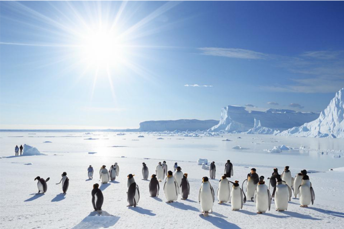    Фото: сгенерировано нейросетью Kandinsky