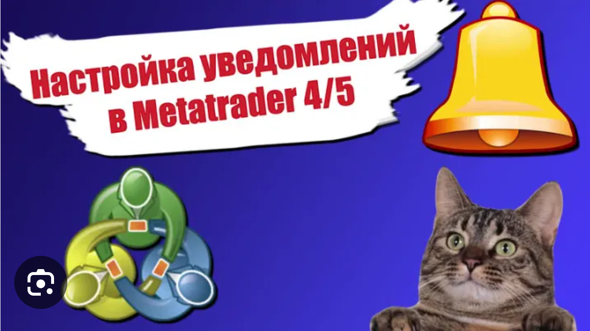 Как настроить уведомления в MetaTrader: получайте сигналы на телефон