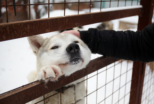    Акция, которую проводит некоммерческая организация "Быть человеком", стартует с 25 февраля