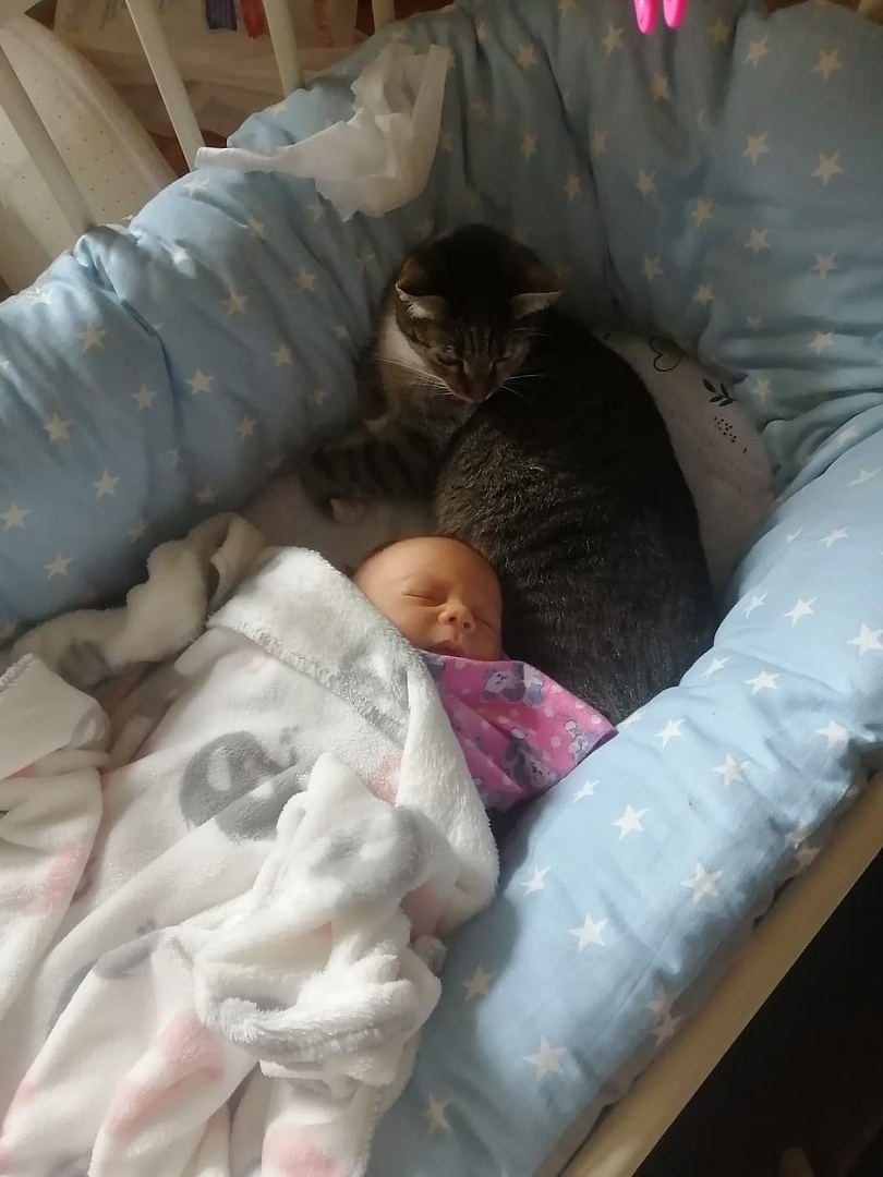 Кошечка Инха и младенец