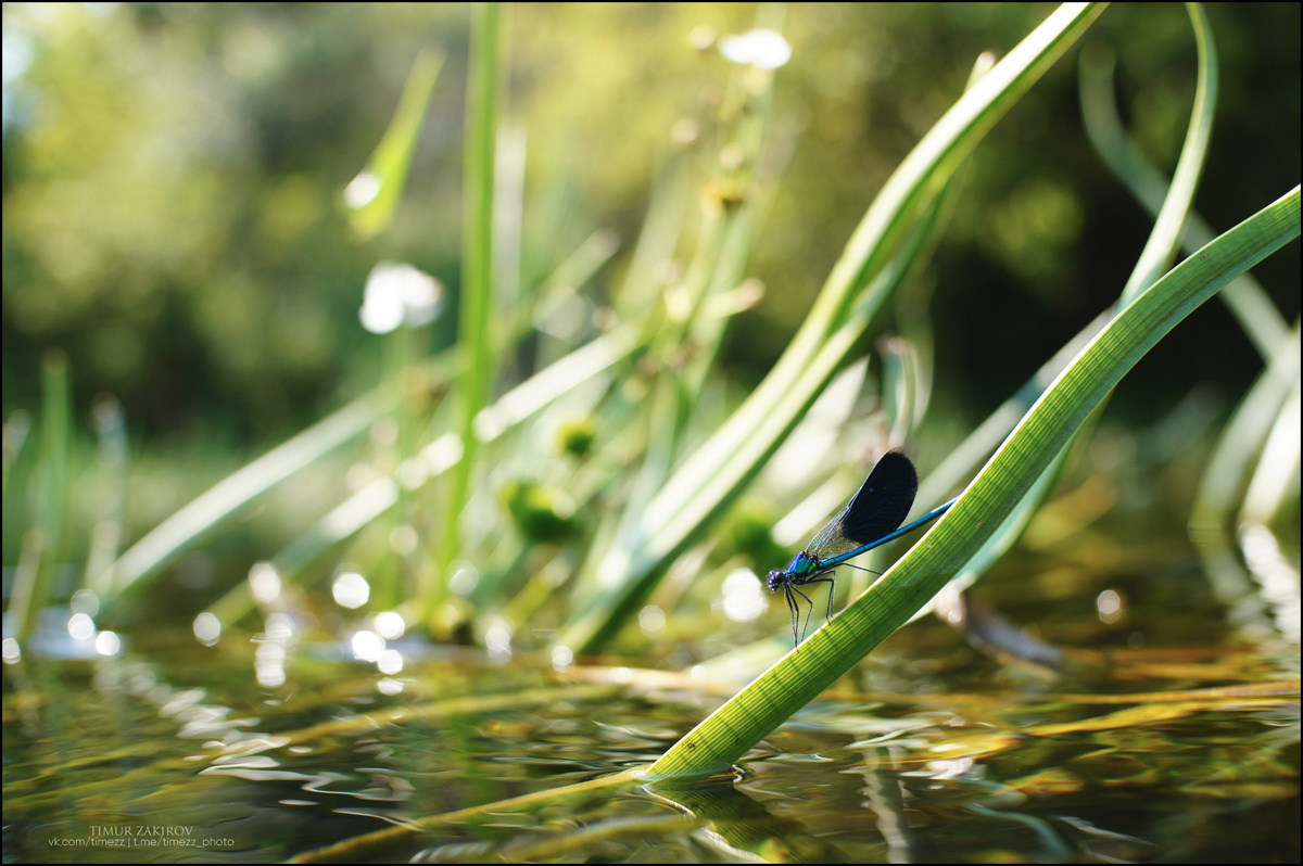 Здесь две фотографии, не пропустите, листайте >>>