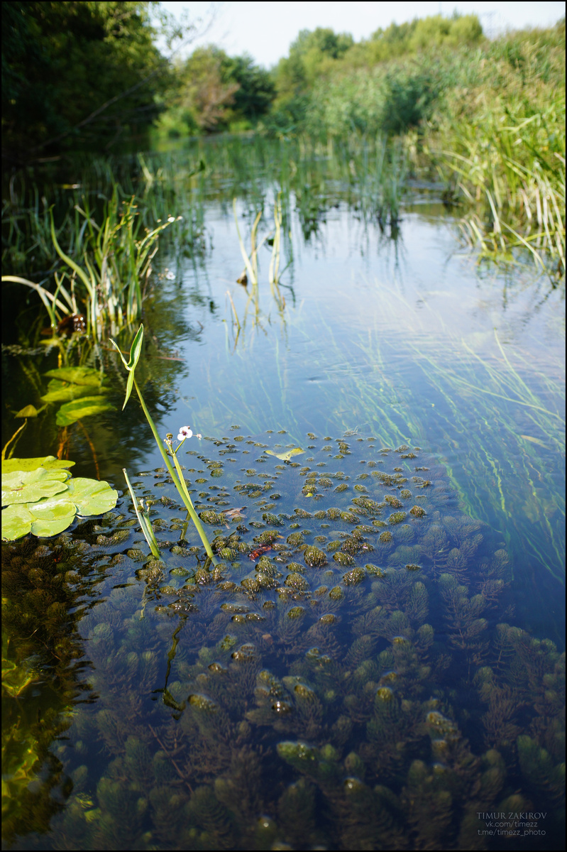 Здесь две фотографии, не пропустите, листайте >>>