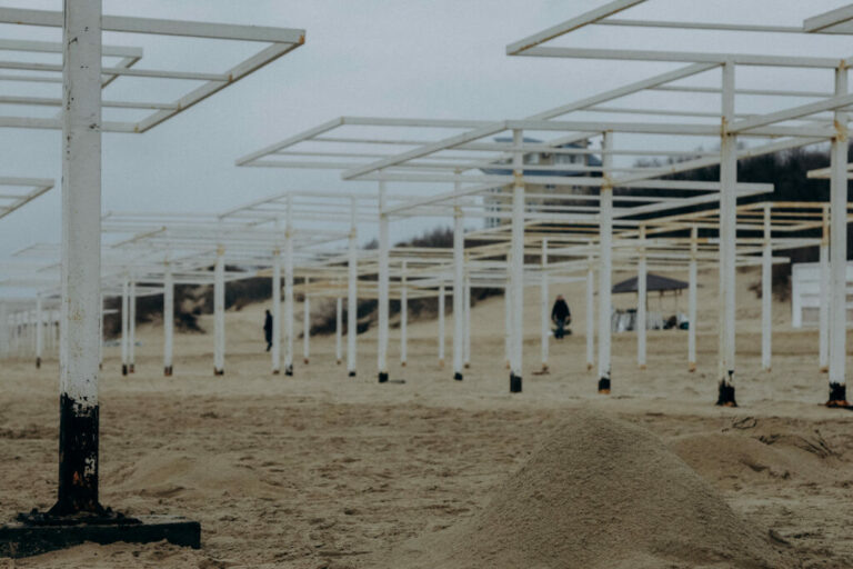 Фото: Эльвира Мясищева