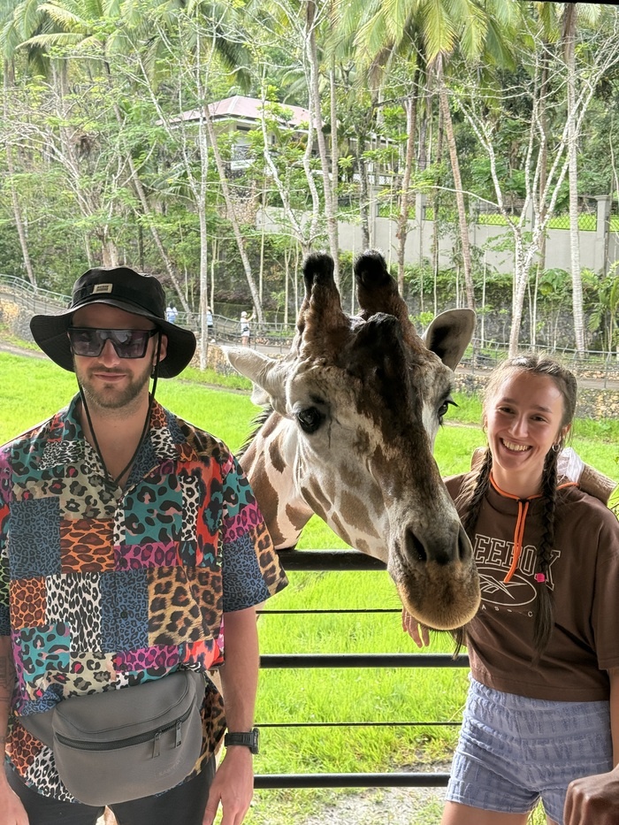 На сафари в Филиппинах