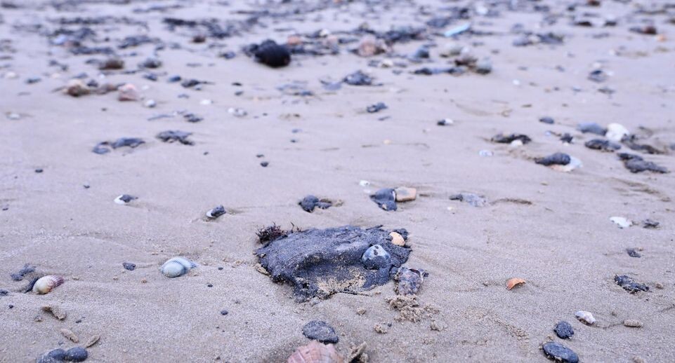    Roman Naumov/URA.RU / Global Look Press