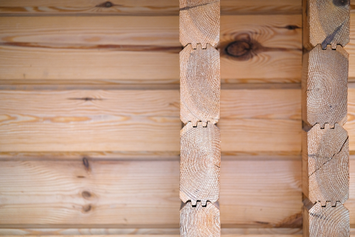 Источник: https://www.freepik.com/