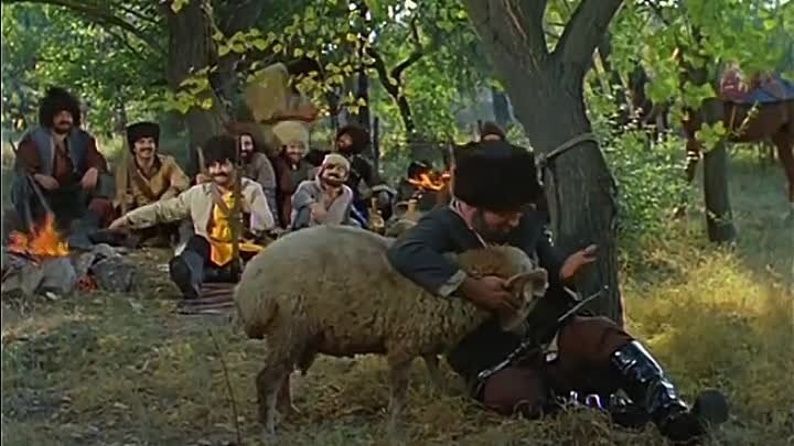 «Барашек травку ест для сытости волков!»