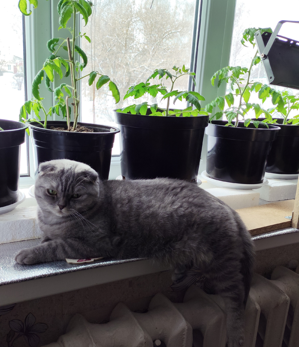 У него все под контролем. Фото личного архива