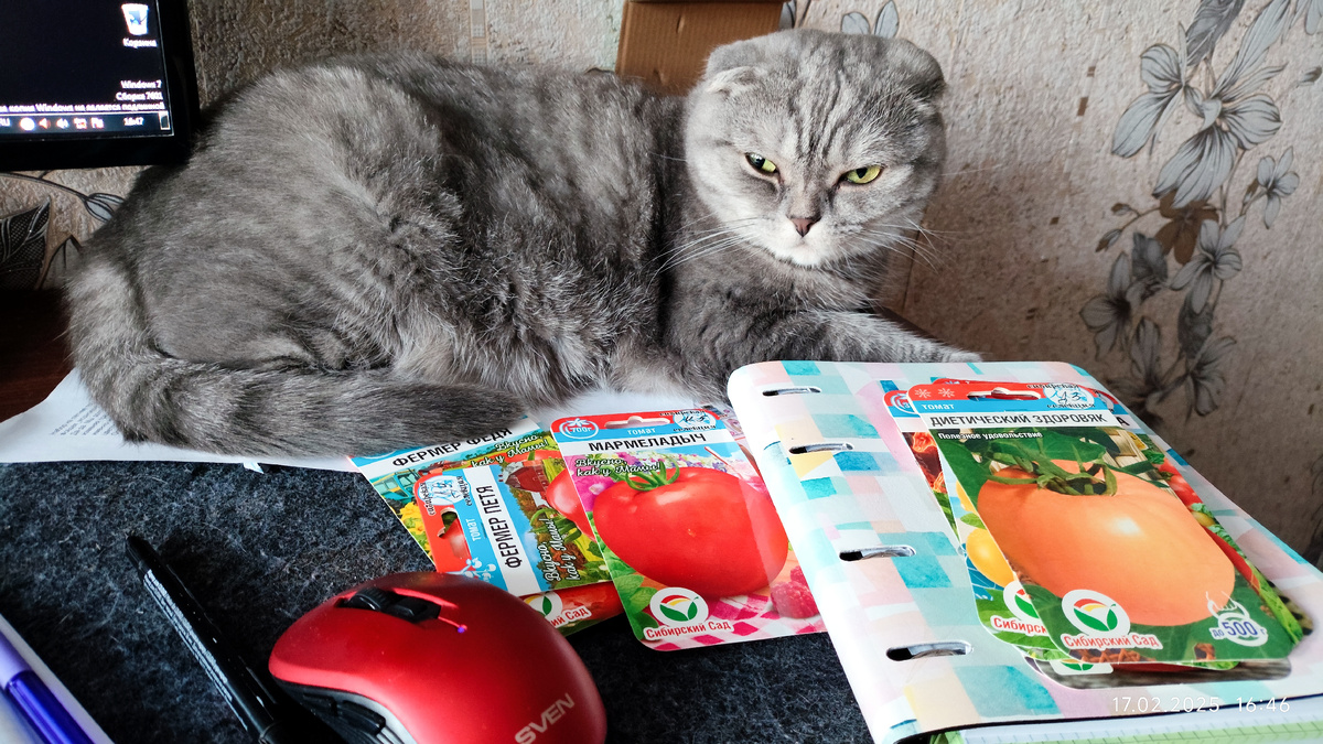 Изучаем сорта, присланные  в  рамках тестирования #Опытный_эксперт_СибСад2025