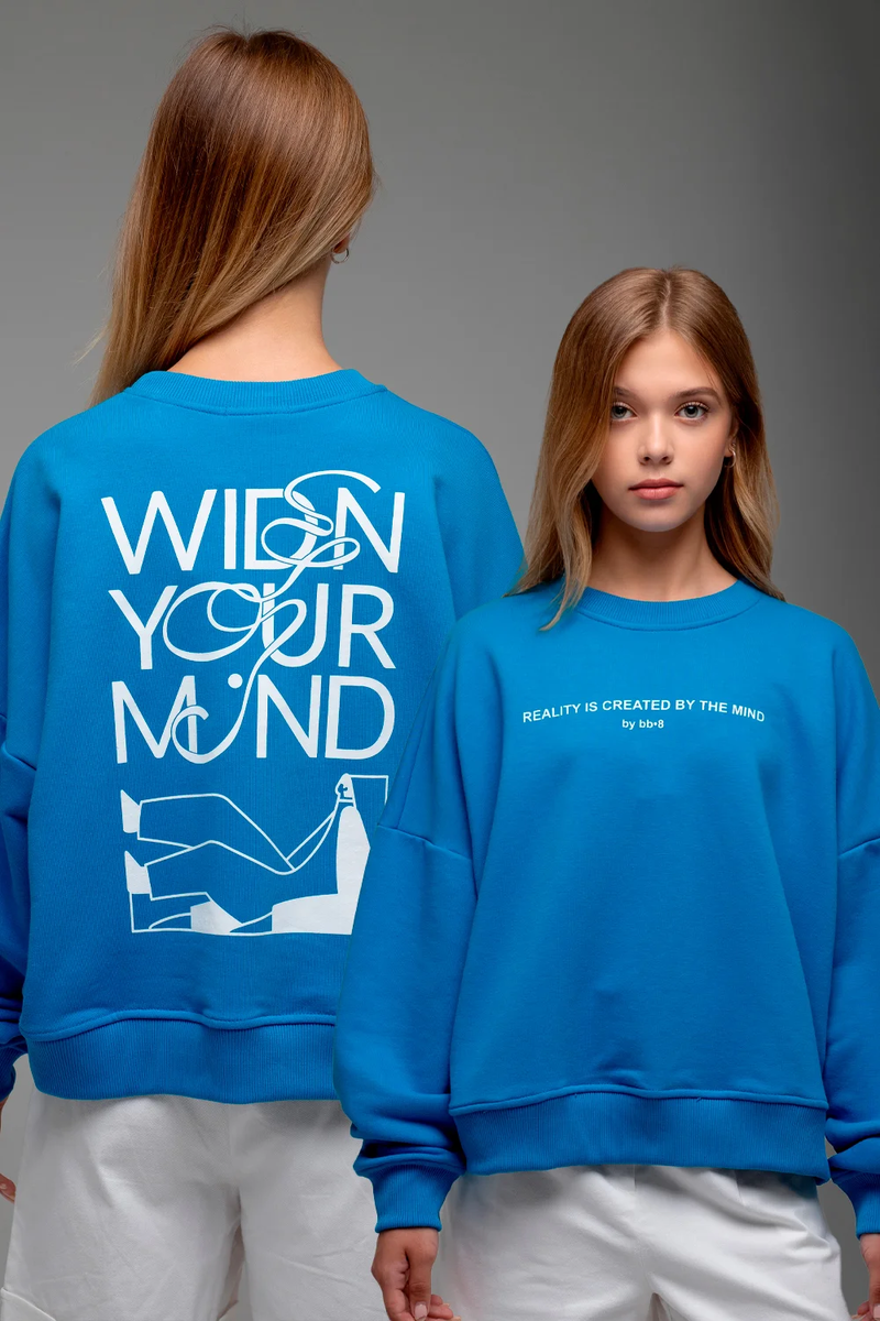 Пример вещи с нашего сайта BB-8