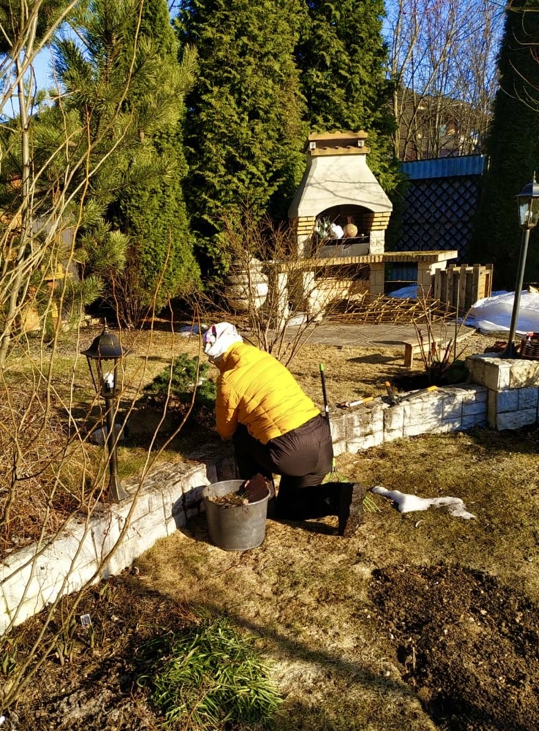 Архивное фото Сад в стиле Paradise @