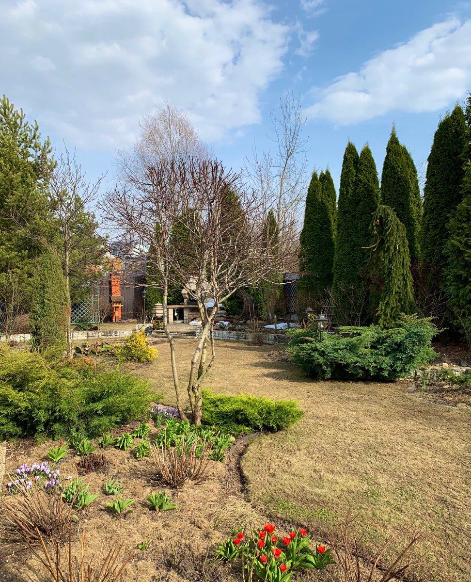 Архивное фото Сад в стиле Paradise @