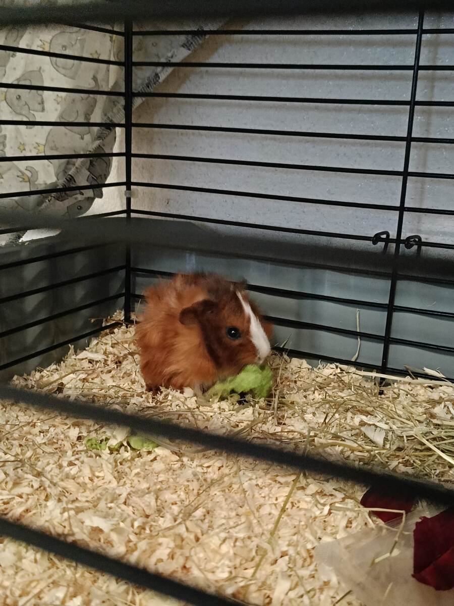 Карамелька