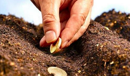 Фото с сайта votray.ru