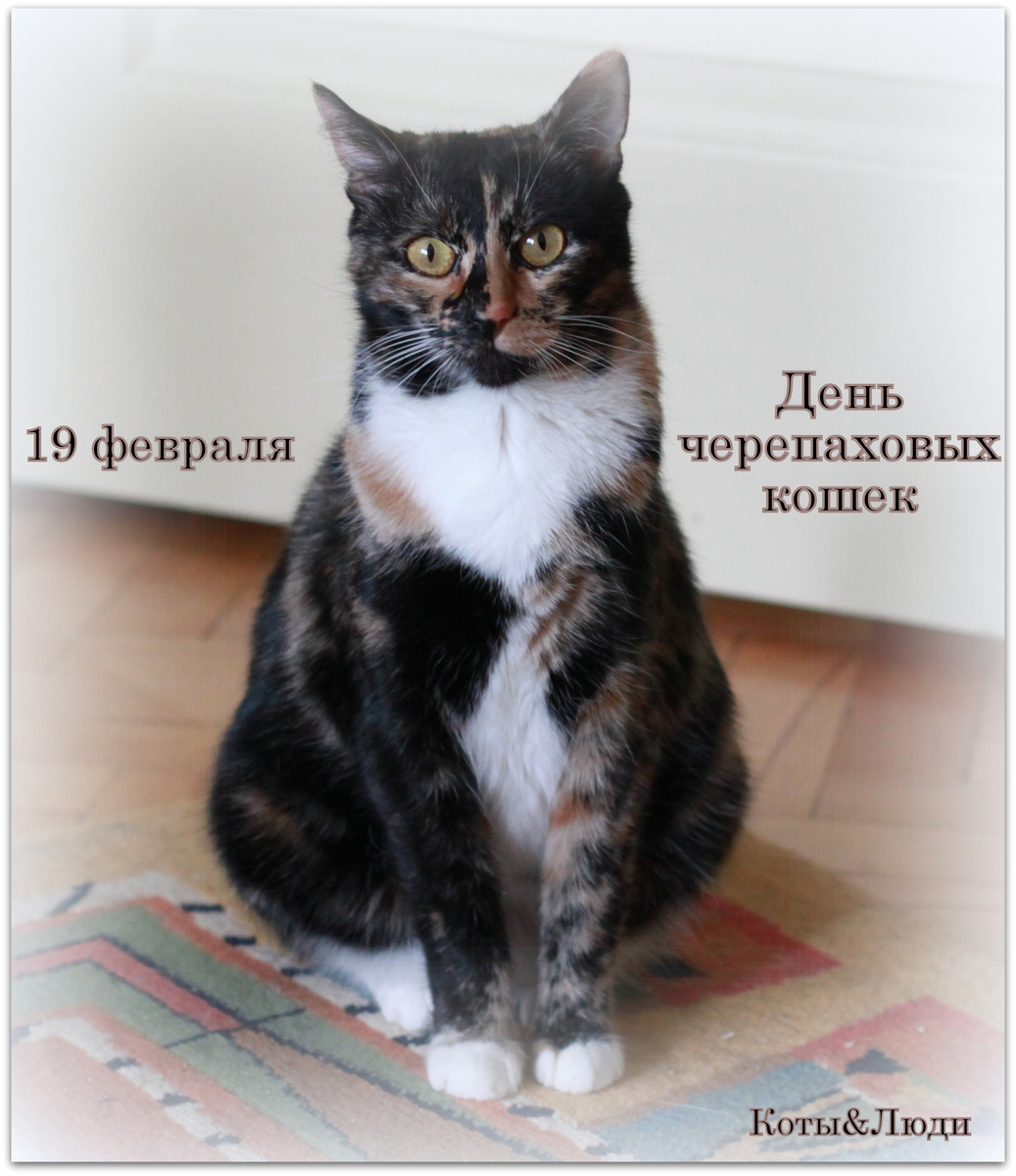 Коллаж автора