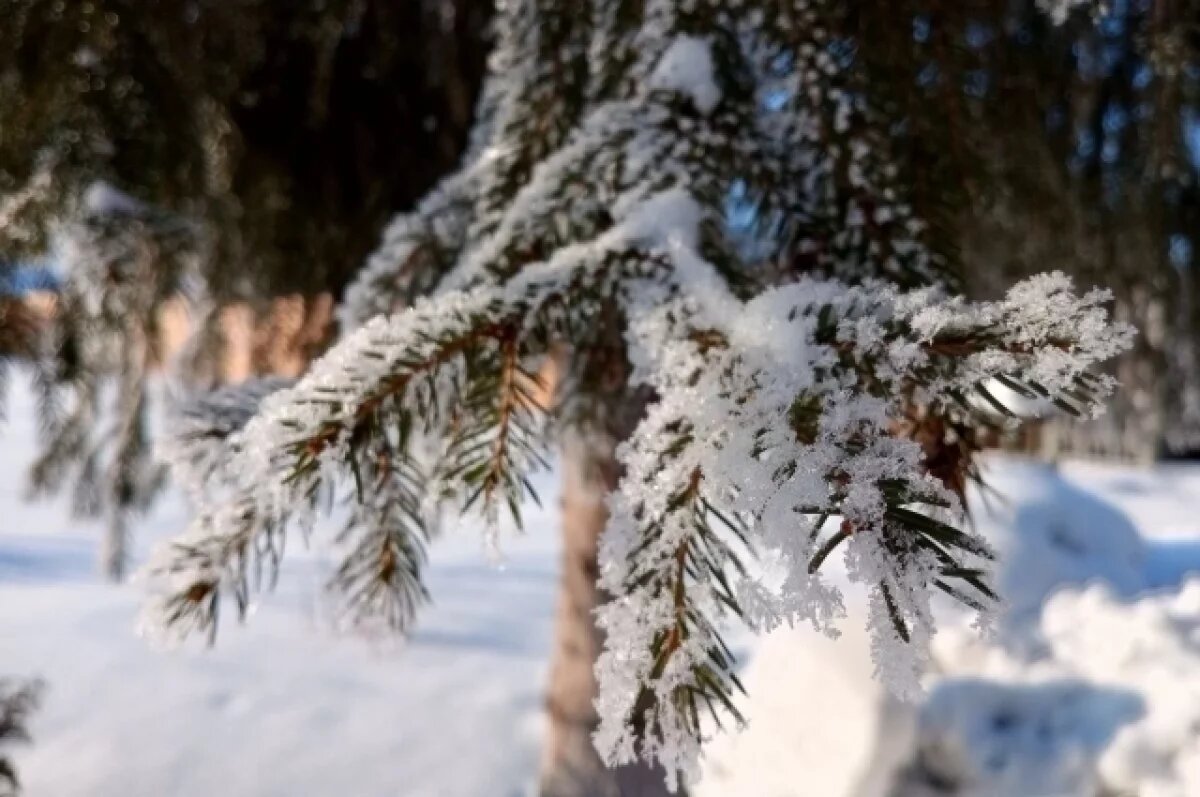    Кратковременный мороз.