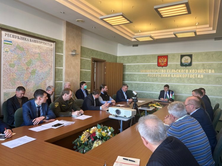    Борьбу с нелегальным завозом пчелопакетов активизирует Башкортостан