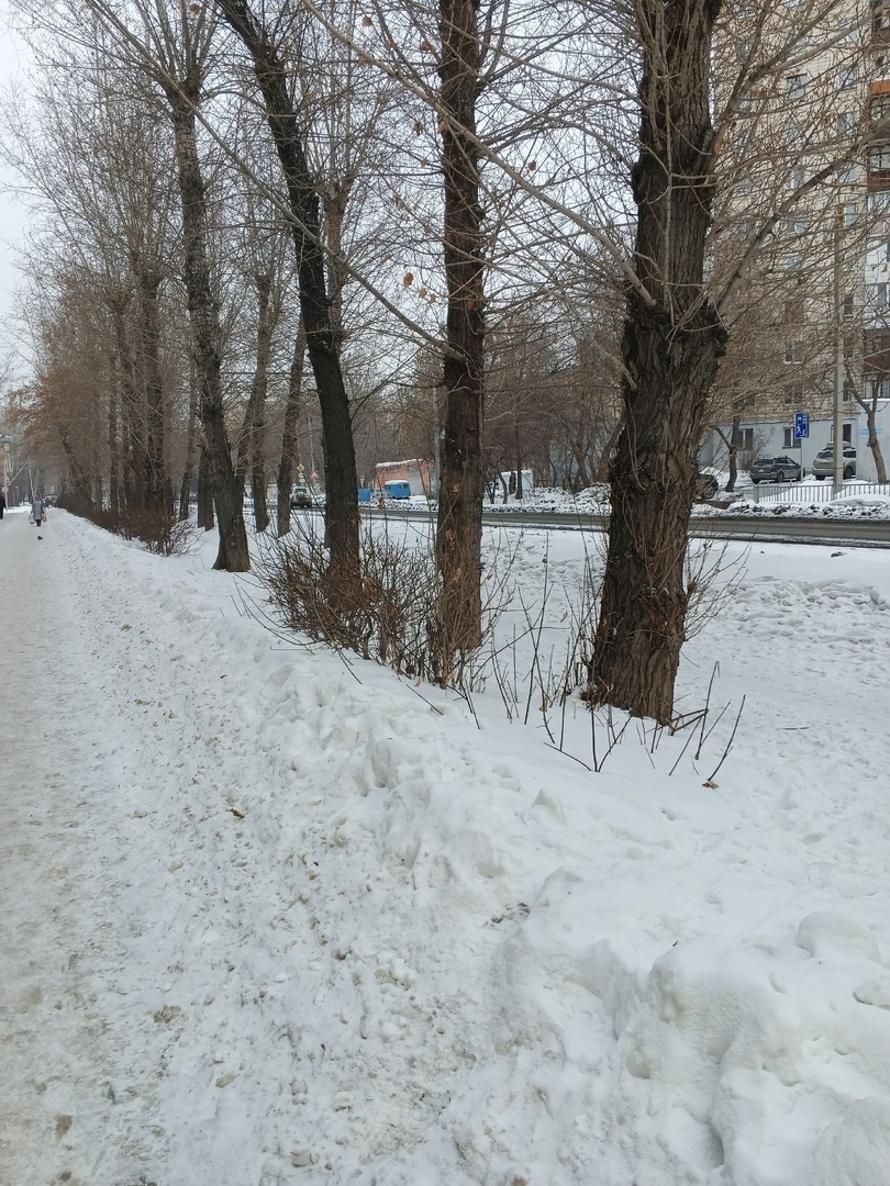 Плыву за пирожками, бананами и помидорами)