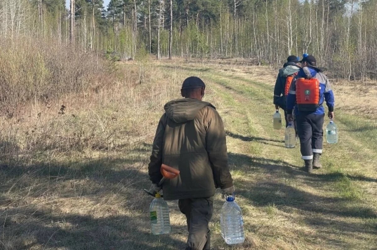   В Тюменской области набирают волонтеров для гуманитарных миссий