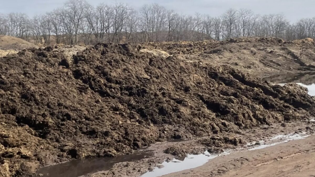     Источник: Нижне-Волжское межрегиональное управление Росприроднадзора